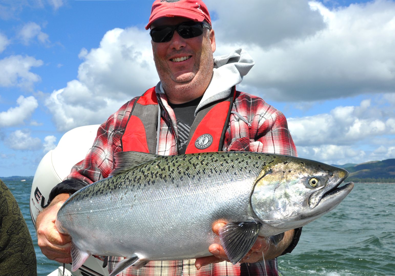 How to Identify a Tule (Post your pics)